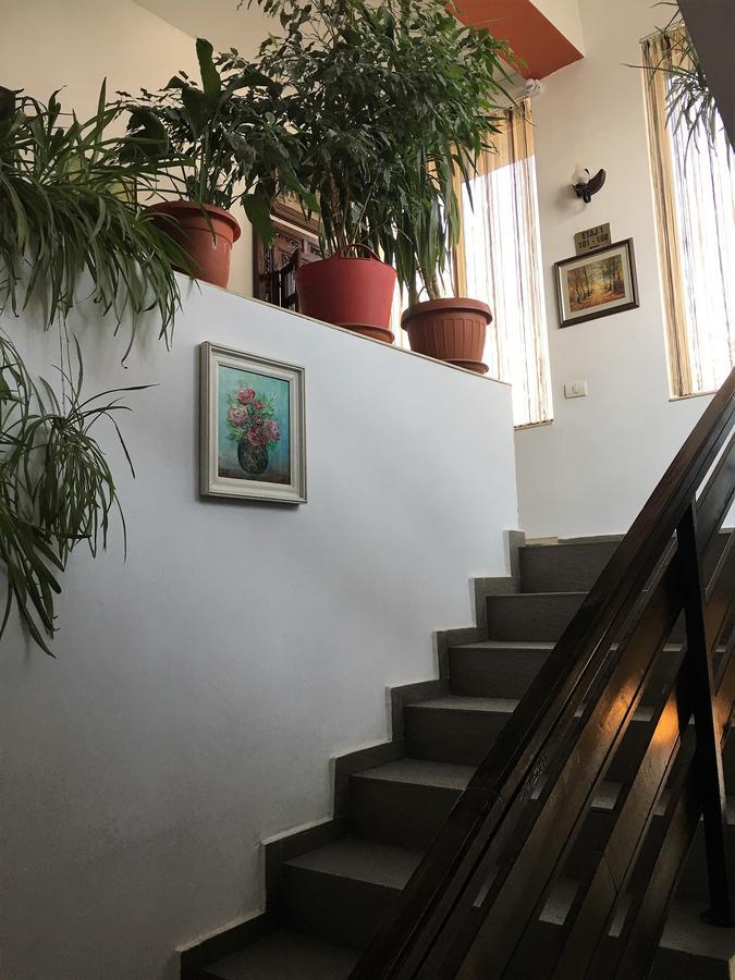 Hotel Taco Βουκουρέστι Εξωτερικό φωτογραφία